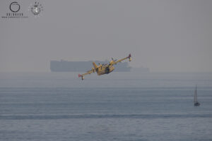 20260418 img 4275